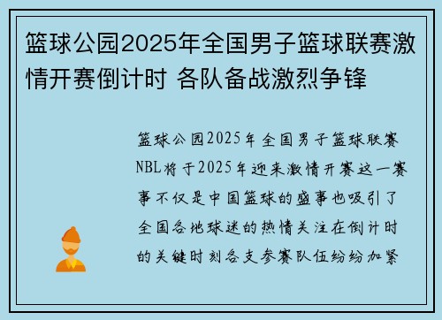 篮球公园2025年全国男子篮球联赛激情开赛倒计时 各队备战激烈争锋